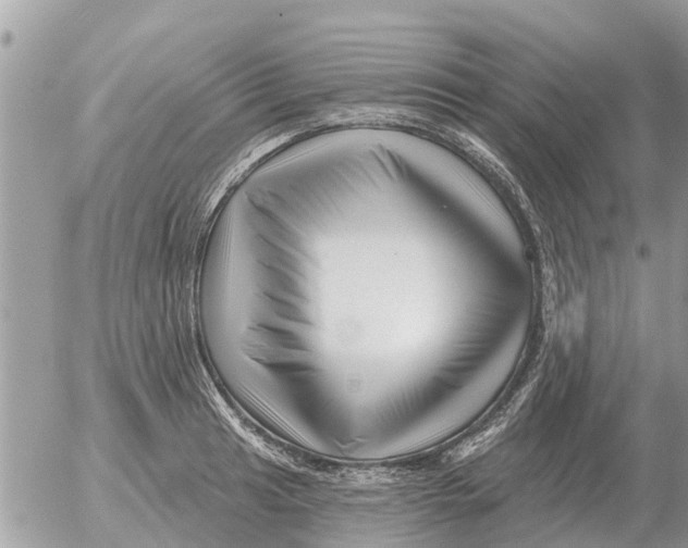 X0000054441041200508270007