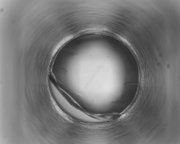 X0000054441042200508270007