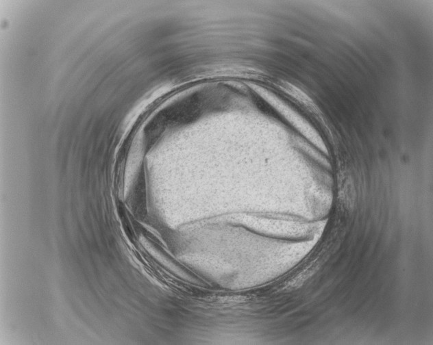 X0000054441043200508270007