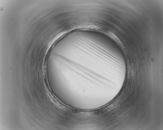 X0000054441044200508270007