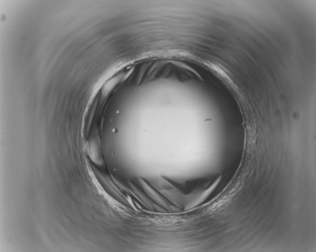 X0000054441046200508270007