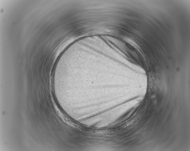 X0000054441047200508270008