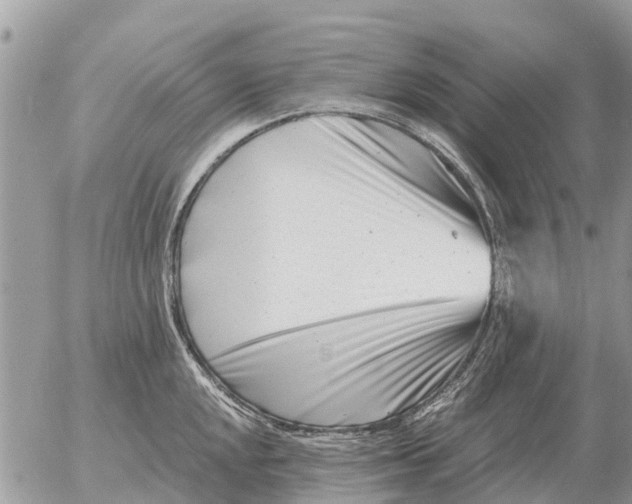 X0000054441048200508270008