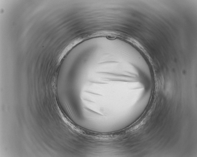 X0000054441049200508270008