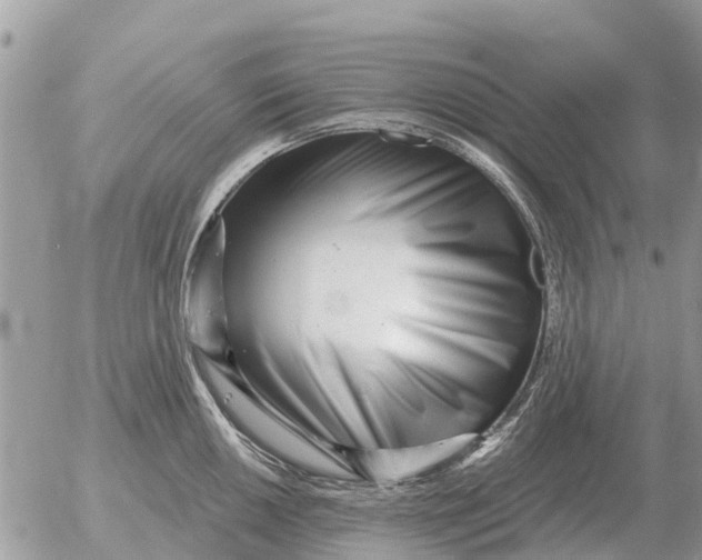 X0000054441050200508270008