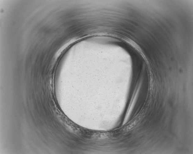 X0000054441051200508270008