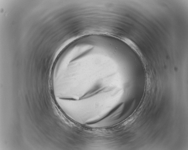 X0000054441052200508270008