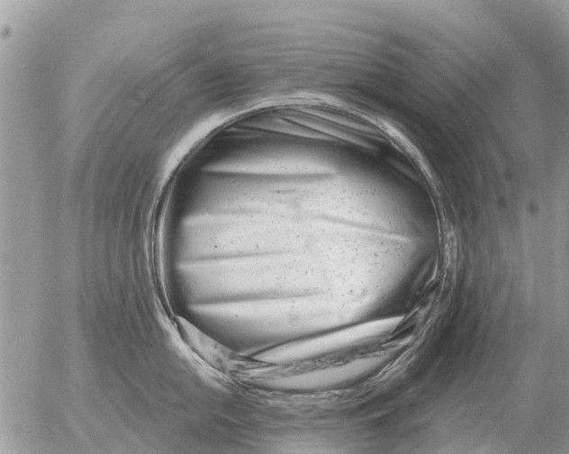 X0000054441054200508270008