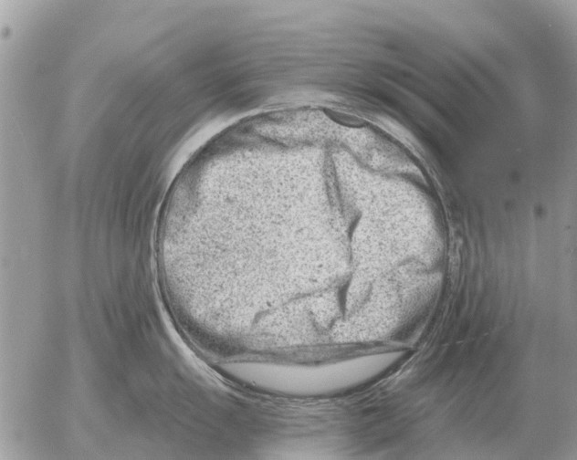 X0000054441055200508270008