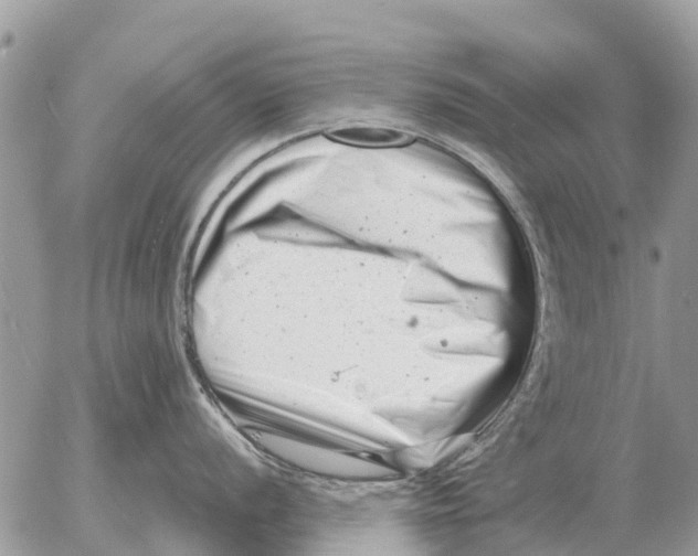 X0000054441056200508270008