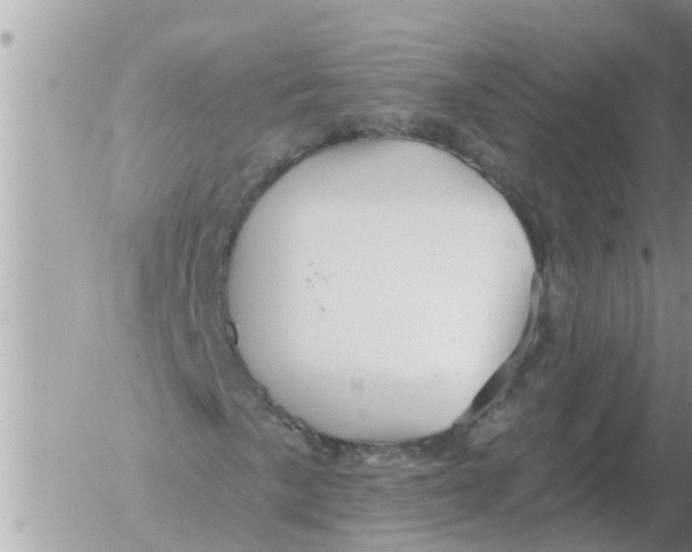 X0000054441057200508270007