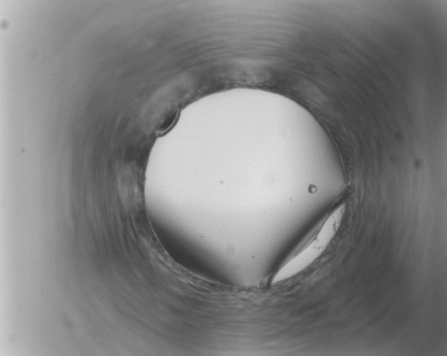 X0000054441058200508270007