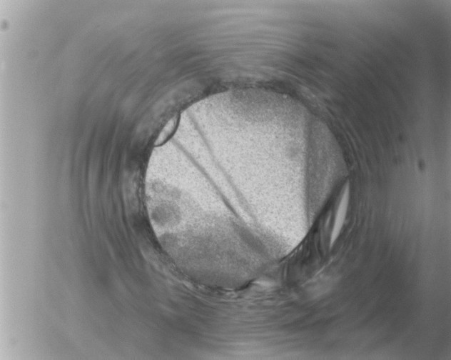 X0000054441059200508270007