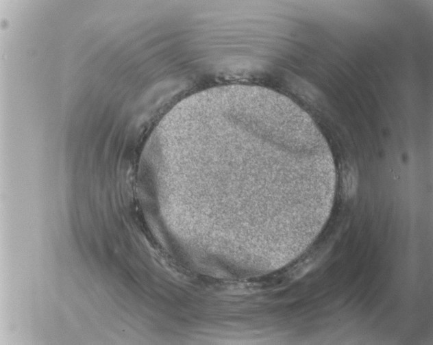 X0000054441060200508270007