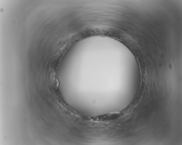 X0000054441061200508270007