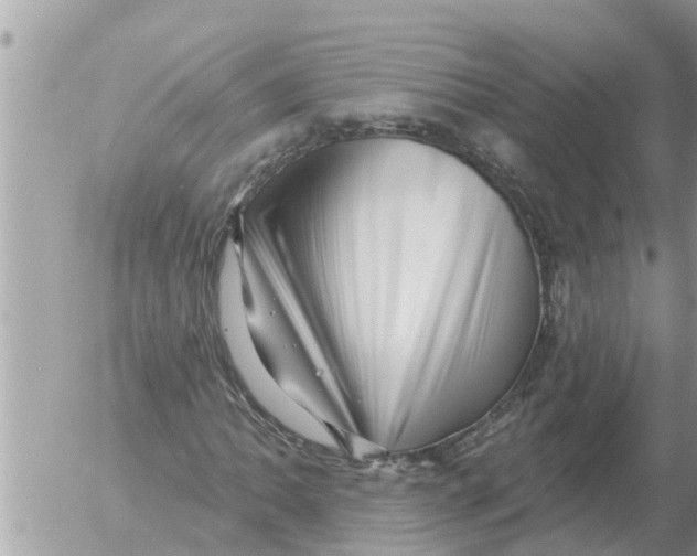 X0000054441062200508270007