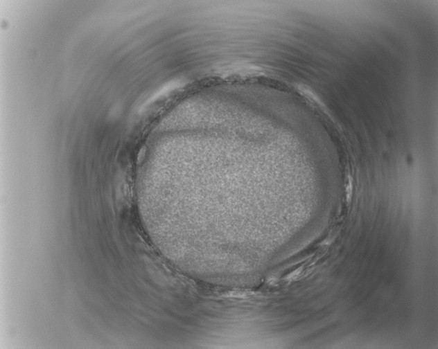 X0000054441063200508270007