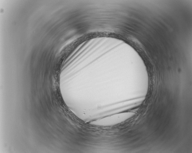 X0000054441064200508270007