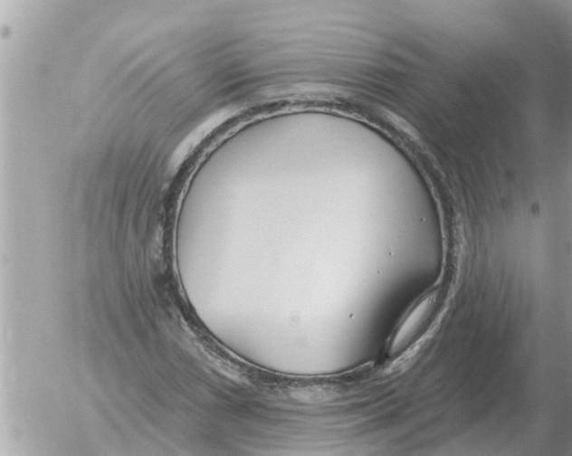 X0000054441066200508270007