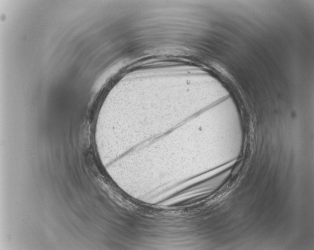 X0000054441067200508270007