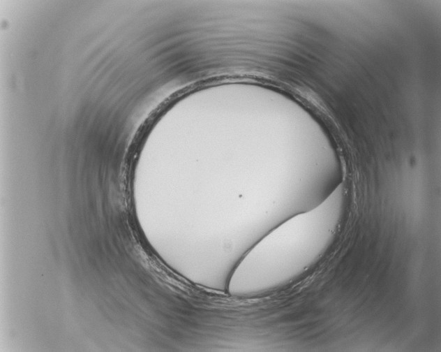 X0000054441068200508270007