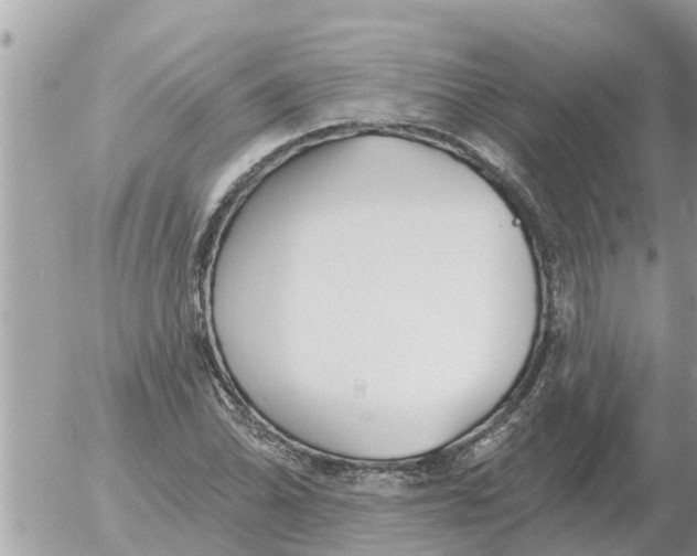 X0000054441070200508270007