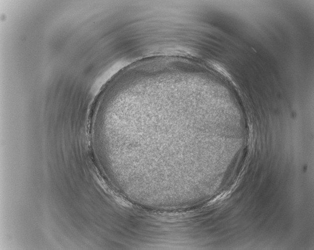 X0000054441071200508270007