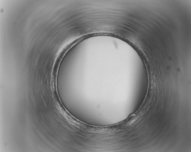 X0000054441072200508270007