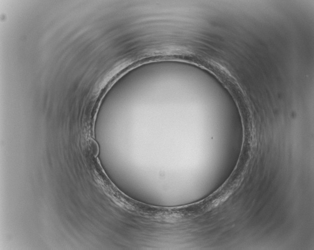 X0000054441073200508270007