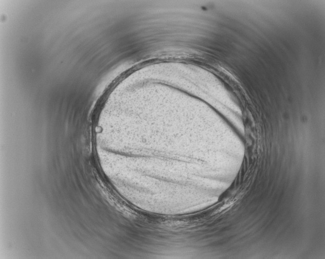 X0000054441075200508270007