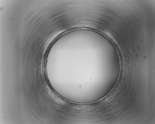 X0000054441076200508270007