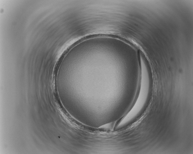 X0000054441077200508270007