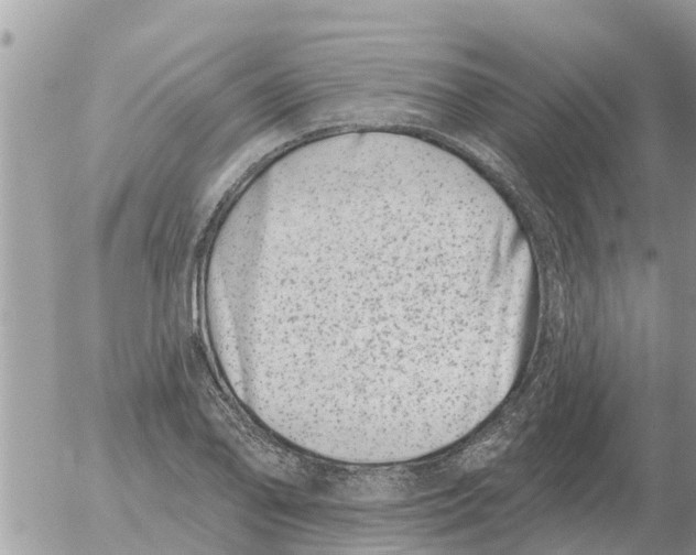 X0000054441078200508270007