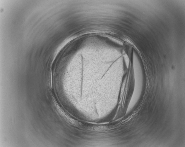 X0000054441079200508270007