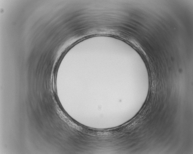 X0000054441080200508270006