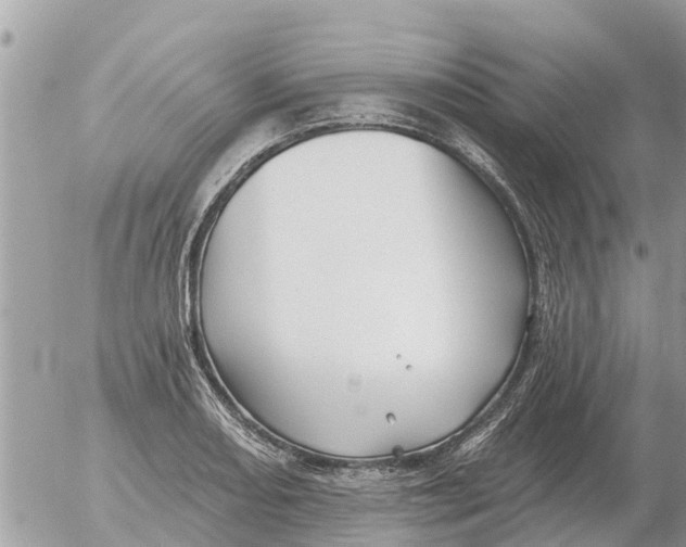 X0000054441082200508270006