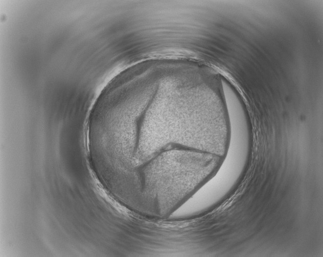 X0000054441083200508270006