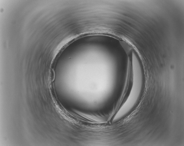 X0000054441085200508270006