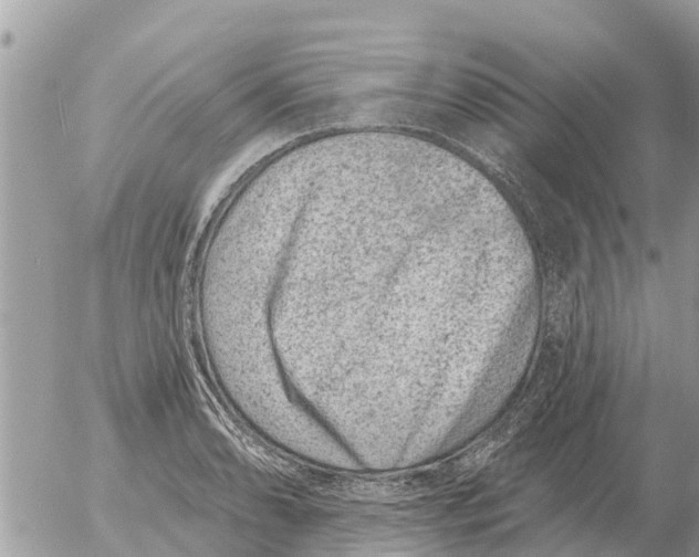 X0000054441086200508270006