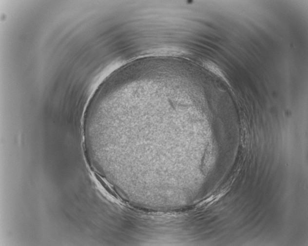 X0000054441087200508270006