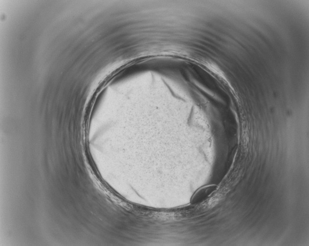 X0000054441088200508270006