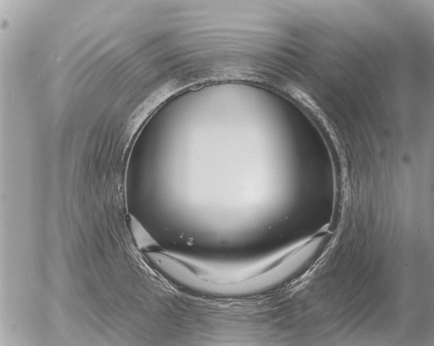 X0000054441089200508270006