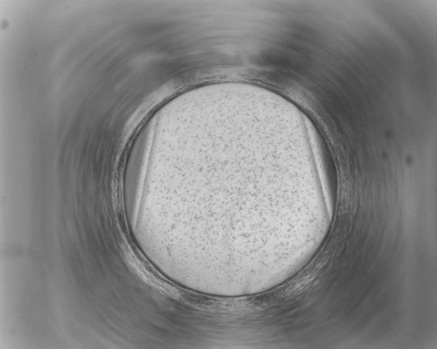 X0000054441090200508270006