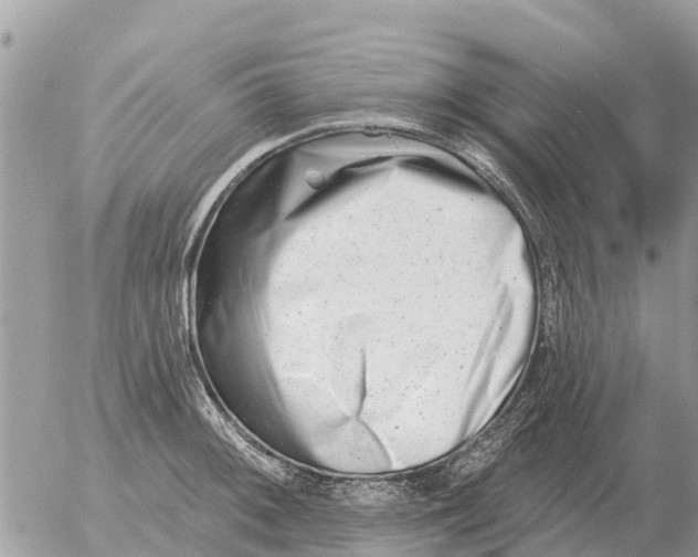 X0000054441092200508270006