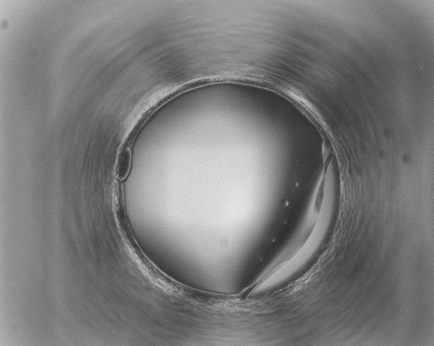 X0000054441093200508270006