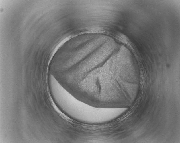 X0000054441095200508270006