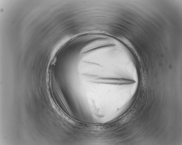 X0000054441096200508270006