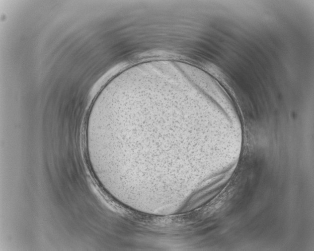 X0000054441098200508270006