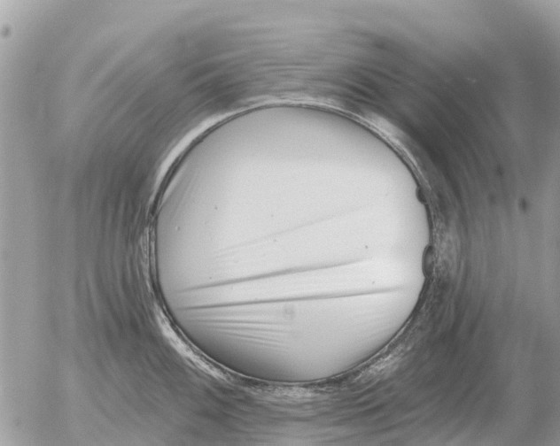 X0000054441100200508270006