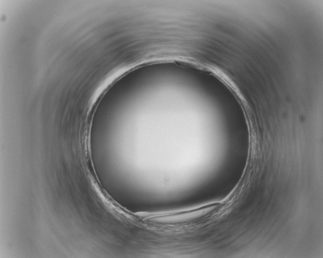 X0000054441101200508270006